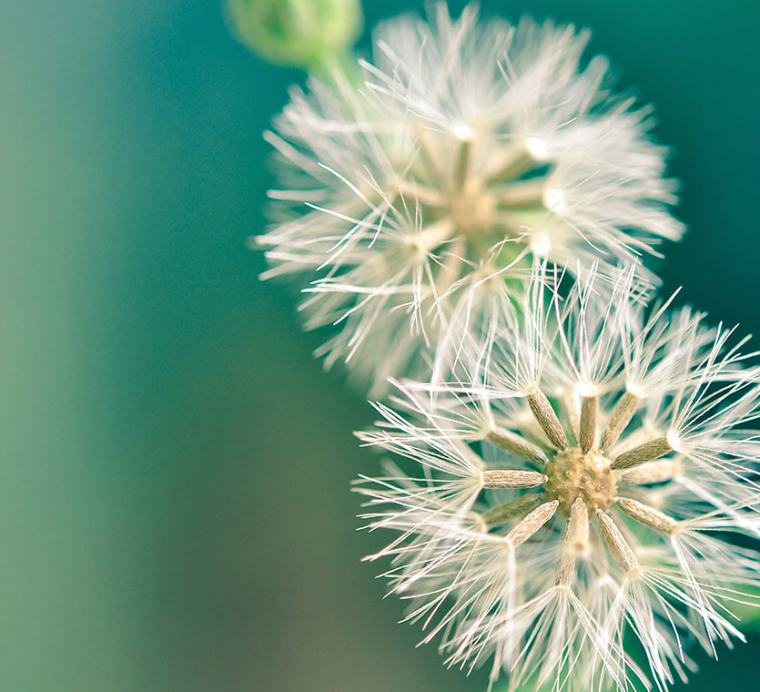 Birth – When the Spiritual and the Material Come Together