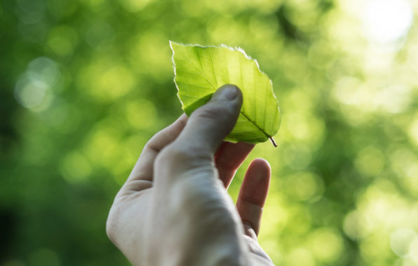 Forbes Ranks Shari Arison One of the World’s Greenest Billionaires