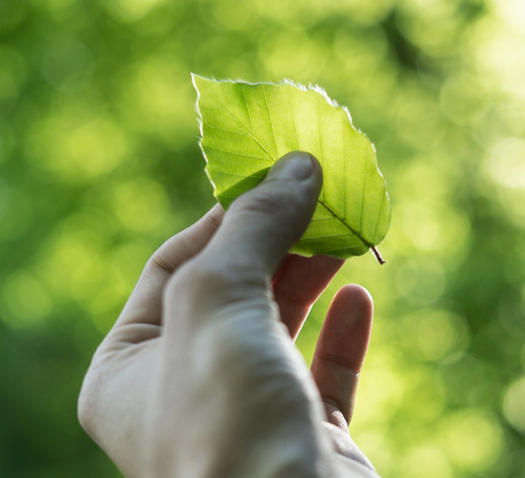 Forbes Ranks Shari Arison One of the World’s Greenest Billionaires