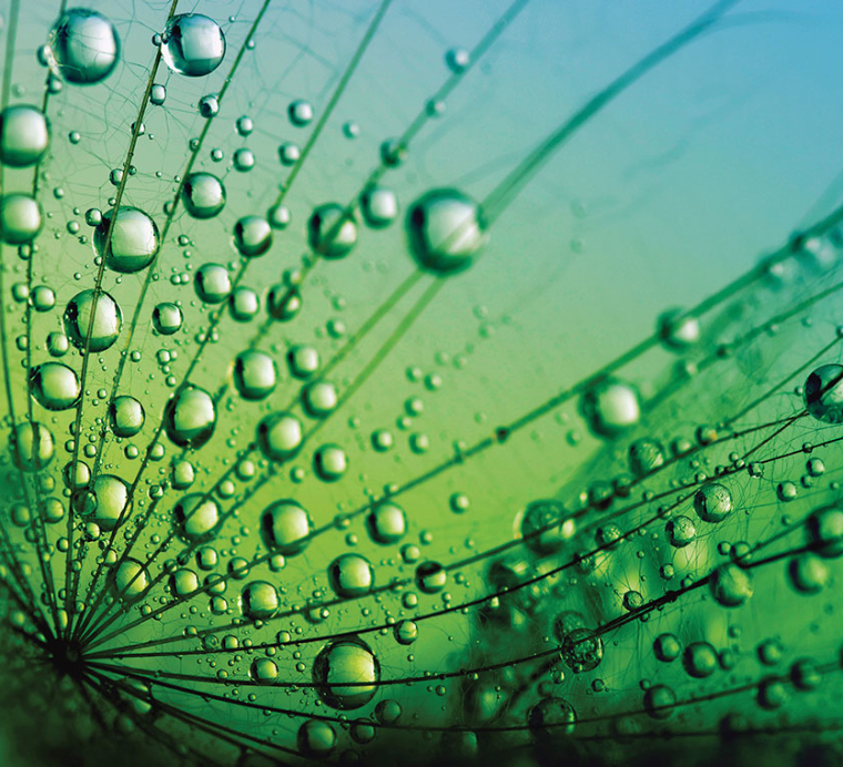 Giving Business Soul