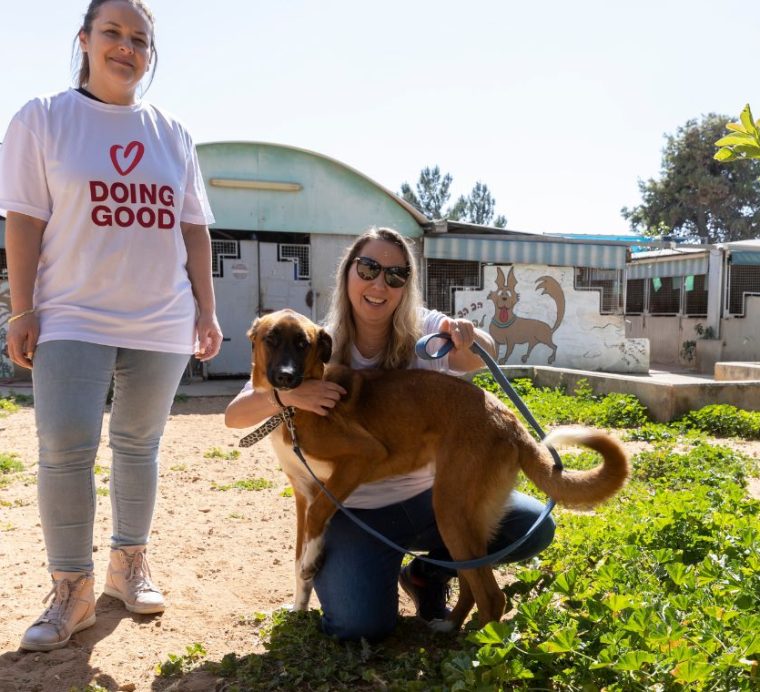 תראו כמה טוב פה